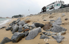 경포에 이어 안목까지..사라지는 백사장