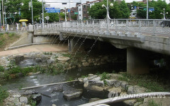 안산 화정천 생태하천으로 재탄생