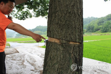 불안에 떠는 충남 보령시 한 농촌마을