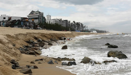 모레가 개장인데..경포 해안침식 재발