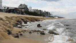 모레가 개장인데..경포 해안침식 재발