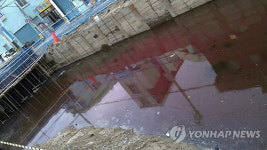 축산오폐수로 붉게 물든 부산 삼락천