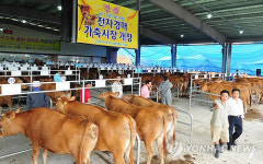 고창 흥덕에 전자경매 한우시장 개장