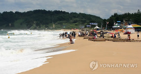 파도 구경도 좋아요