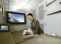 아시아나 새 일등석, 오즈 퍼스트 스위트