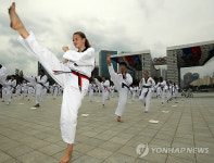 외국인의 품새시연