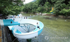 금산산림문화타운 물놀이 시설