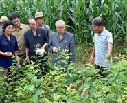北최영림 총리, 오류남새전문협동농장 방문