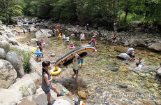 무더위 계곡에서 즐기자