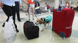 인천항 검역은 제가 맡아요