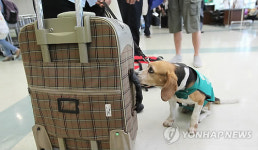 인천항 검역은 제가 맡아요