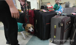 인천항 검역은 제가 맡아요