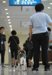 인천항 검역은 제가 맡아요