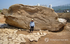 김해서 발굴된 국내 최대급 지석묘 문화재 지정