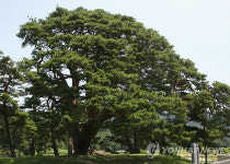 괴산 왕송 건강 이상 無