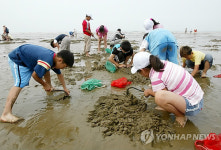 "갯벌체험 정말 재미있어요"