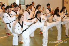 태권도 한류 배우기