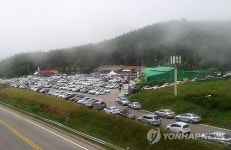 대관령에서는 무더위 몰라요