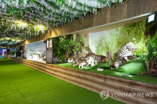 홍천 비발디파크 자연사박물관