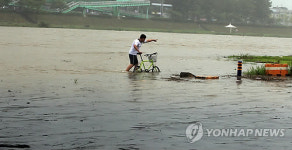 성난 폭우‥대전·세종·충남 곳곳 물난리