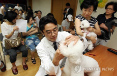 반려동물 건강검진
