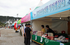 춘천 닭갈비막국수축제 개막