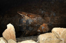 (주)아워홈한라시멘트광산식당 | 강릉 옥계 라파즈한라 시멘트 광산 붕괴(1보)
