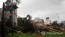 <태풍 볼라벤> 광주·전남 초토화 피해속출