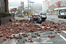  차량 덮친 벽돌