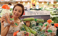 가격 급등 채소류, 롯데마트에선 할인