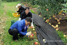 남원시, 태풍 피해농가 일손돕기