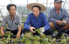 <태풍 볼라벤> 손학규, 피해 농민 위로