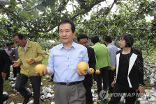 <태풍 볼라벤>정세균, 낙과 농장 방문
