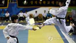 태권예술(?)