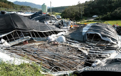 폭탄 맞은 축사