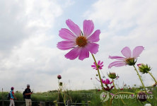 시나브로 가을
