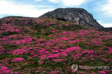 한라산 선작지왓 명승예고