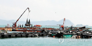 한개라도 살려야‥폐허 속 전복 양식어민