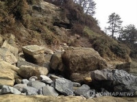 서귀포층 패류화석