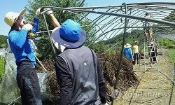 법제처, 옥천 와정마을서 태풍복구지원