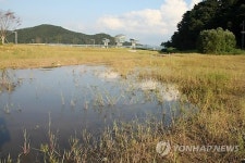 진창으로 변한 구미 낙동강 둔치 공원