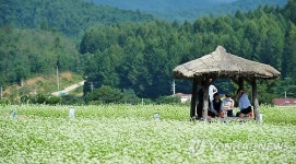 가산 이효석처럼 훌륭한 문인 될래요