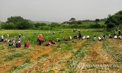귀농귀촌 인구 급증…40~50대가 절반 넘어