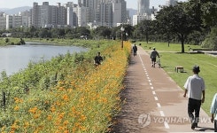 대구 신천변의 가을정취