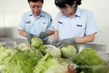 농림수산검역검사본부, 추석맞이 특별검역 실시