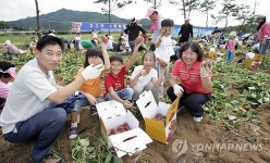 충주 천등산 고구마 축제 22일 열려