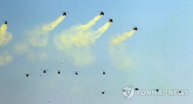 축하비행