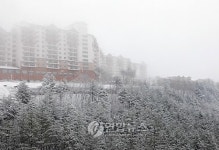태백 오투리조트 자금난…콘도까지 경매로