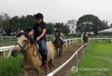 춘천 승마장 이용객 300% 증가…`싸이 효과?