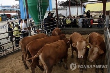 정부 조사 시작